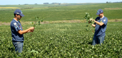Produção gaúcha de grãos em 2021/22 poderá ser a melhor em uma década