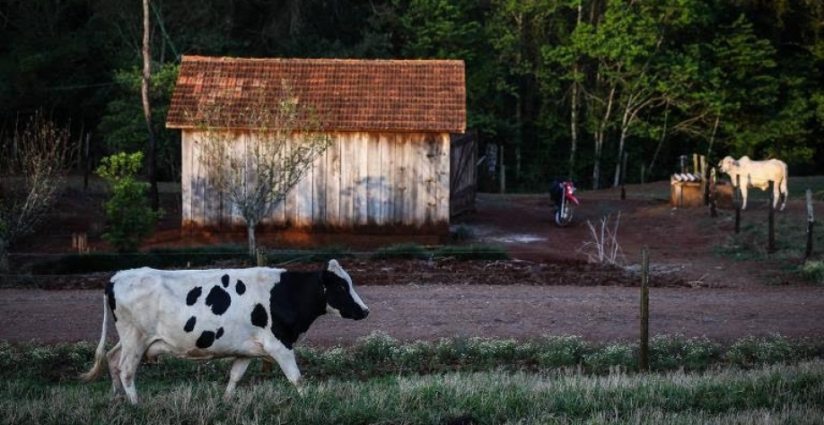 Crédito para pequeno produtor é um desafio, afirma CNA