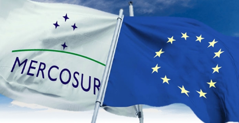 Mobilização pró-Amazônia contra PL da grilagem chega ao Parlamento Europeu 