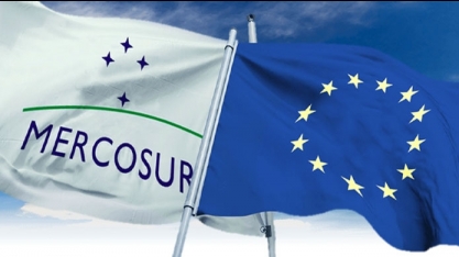 Mobilização pró-Amazônia contra PL da grilagem chega ao Parlamento Europeu 