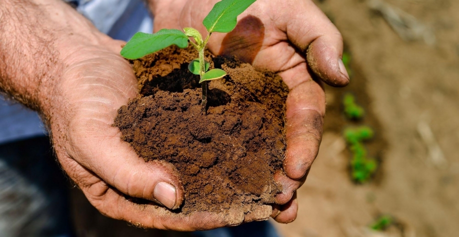 Solinftec obtém o primeiro certificado de recebíveis verdes do setor agro