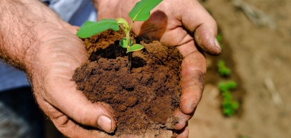 Solinftec obtém o primeiro certificado de recebíveis verdes do setor agro