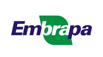 Inoculante da Embrapa ajuda a elevar produtividade das lavouras