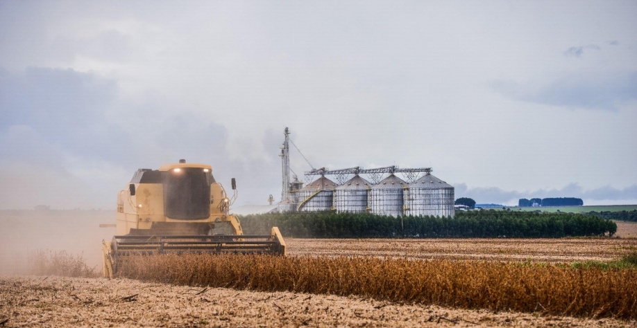 Crédito agrícola 20/21 supera R$ 200 bilhões; Plano Safra será executado 