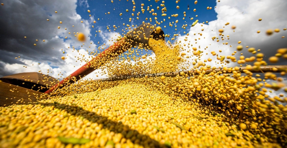 Desvalorização do dólar na semana impacta no preço da soja, diz Cepea