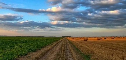 Cúpula do Clima: Caminhos indicados podem impulsionar o agro brasileiro