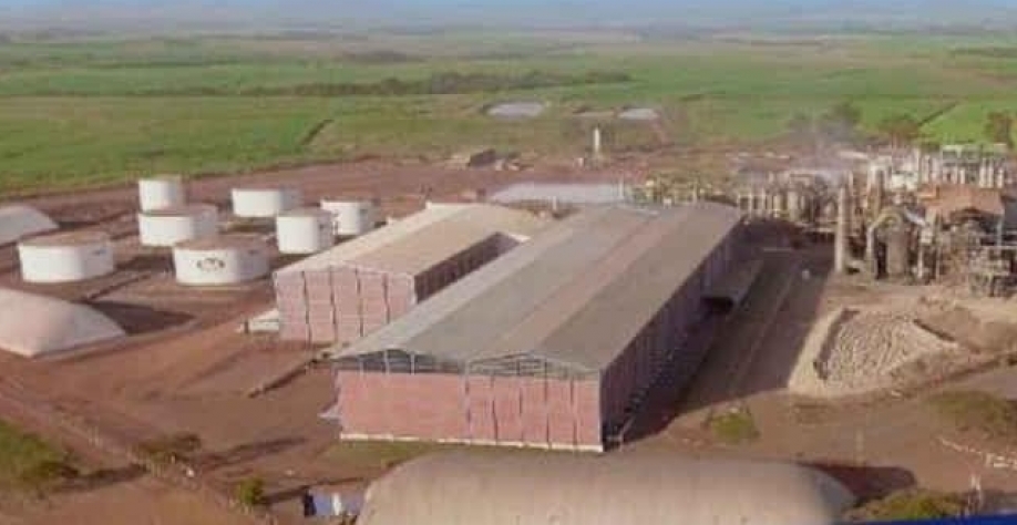 Jalles Machado terá colheita “doce” para as ações