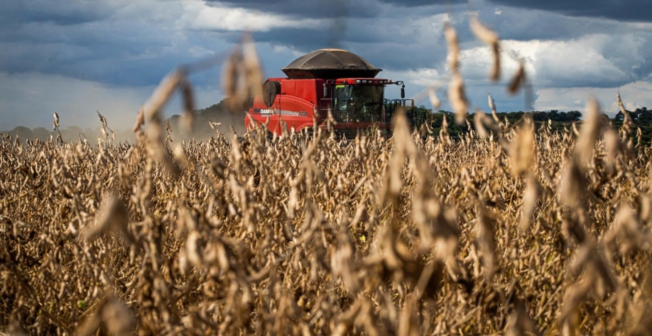 Brasil, potência agroambiental - Por Helen Jacintho
