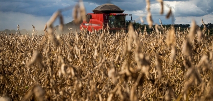 Brasil, potência agroambiental - Por Helen Jacintho
