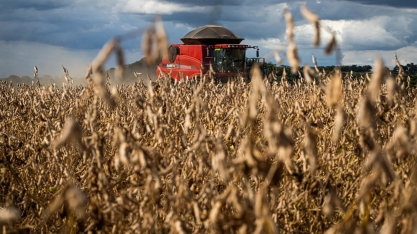 Brasil, potência agroambiental - Por Helen Jacintho