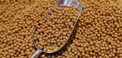 ADM investe US$ 350 mi em fábrica de esmagamento de soja em Dakota do Norte