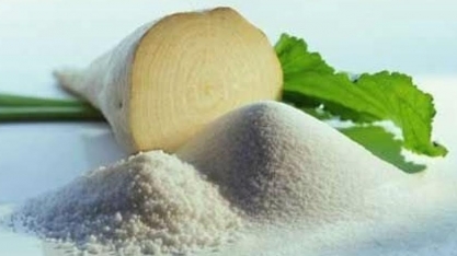 UE: Produção de açúcar deve aumentar 800 mil toneladas em 2021/22