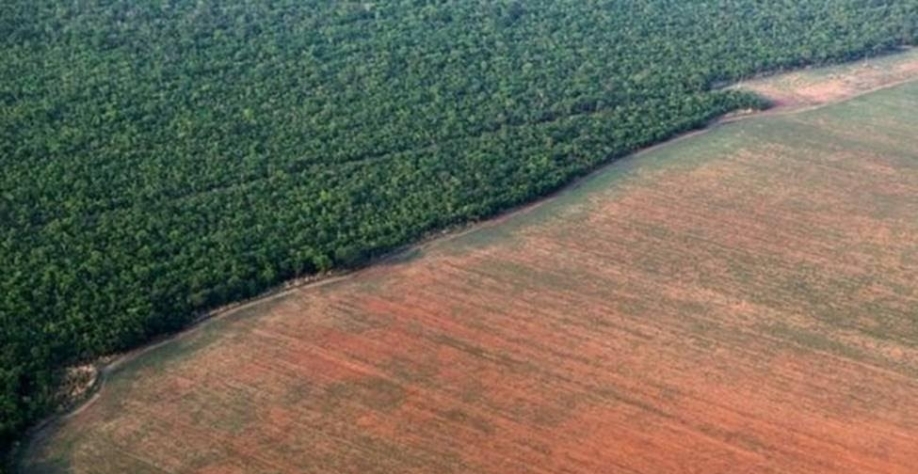'Brasil precisa parar de anistiar irregularidades',diz líder do agronegócio