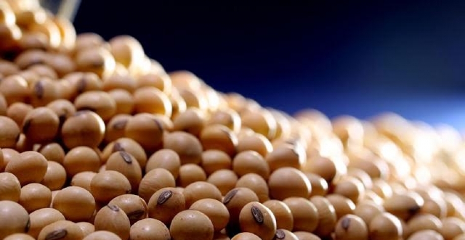 Soja supera US$ 16/bushel em Chicago pela 1ª vez desde 2012
