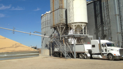 Preços em alta estimulam aumento global das safras agrícolas