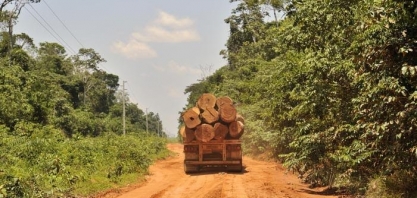 Fraudes grotescas,diz delegado sobre madeira ilegal que Salles quer liberar