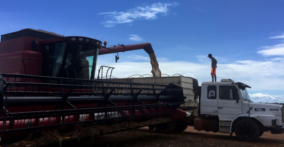 Pesquisa: Agro vê baixo impacto da pandemia nos negócios e avanço digital