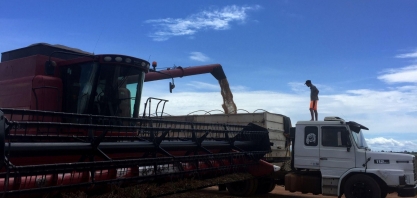 Pesquisa: Agro vê baixo impacto da pandemia nos negócios e avanço digital