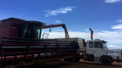 Pesquisa: Agro vê baixo impacto da pandemia nos negócios e avanço digital