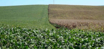 Nervosismo do capital que vem de fora agita mercado agrícola