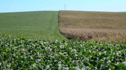 Nervosismo do capital que vem de fora agita mercado agrícola