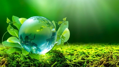 5 motivos para acreditar na produção de alimentos