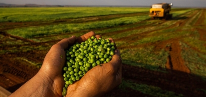 Agropecuária brasileira ajuda a salvar o planeta, diz Convenção da ONU 