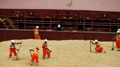 SLC e Terra Santa formam acordo para formação de gigante do agro
