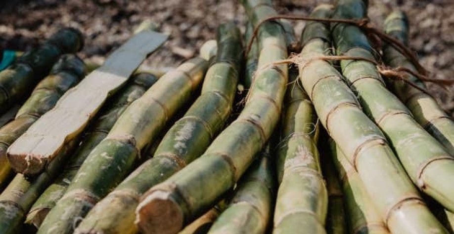 Principal cluster da sucroenergia brasileira agrega sinergias com a Udop