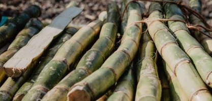 Principal cluster da sucroenergia brasileira agrega sinergias com a Udop