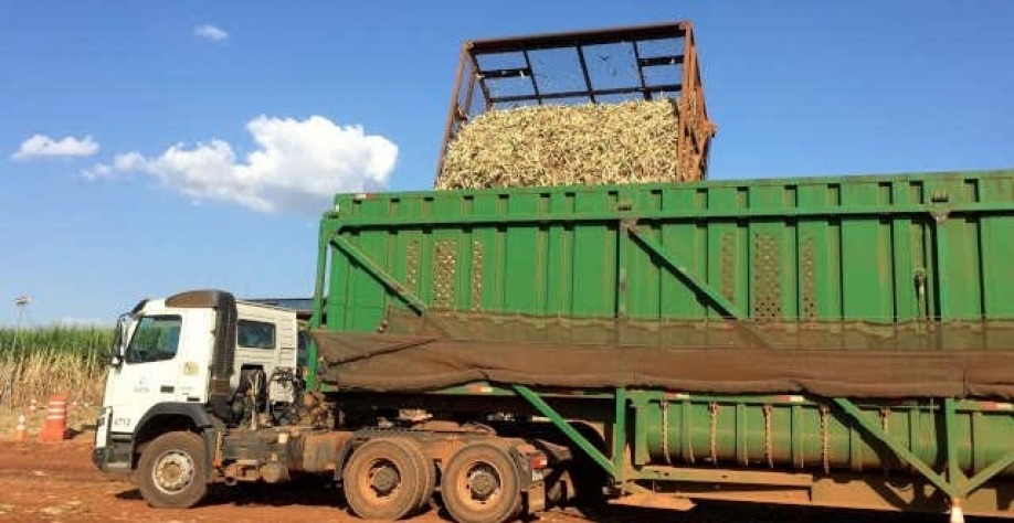 BP Bunge inova com barter e cana a termo
