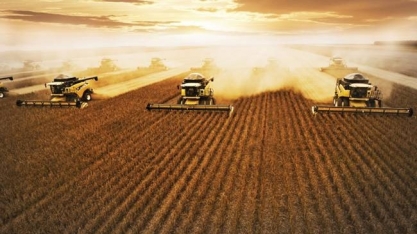 Agropecuária tem maior geração de emprego no 1º trimestre desde 2007