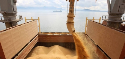 Brasil está entre os 5 maiores exportadores de 30 produtos agrícolas