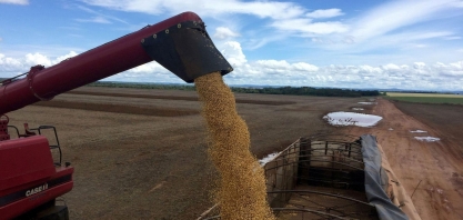 Espiões, satélites e intimações: tradings jogam duro com sojicultores