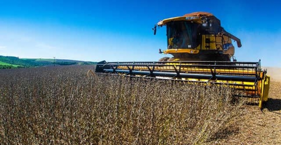 Coplacana:Operação com soja mostra que plantio já não depende tanto da cana