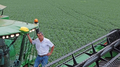 Produtores de grãos já falam em perdas causadas por falta de chuvas no País