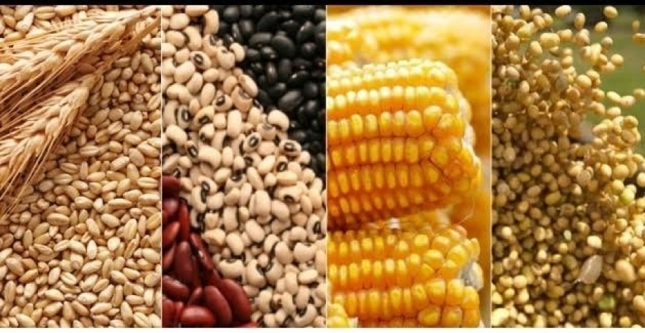 IGC eleva projeção da safra global 2021/22 para 2,292 bilhões de toneladas 