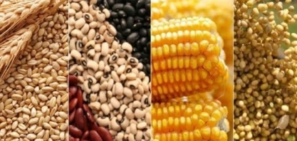 IGC eleva projeção da safra global 2021/22 para 2,292 bilhões de toneladas 