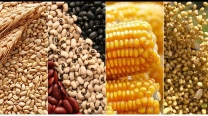 IGC eleva projeção da safra global 2021/22 para 2,292 bilhões de toneladas 