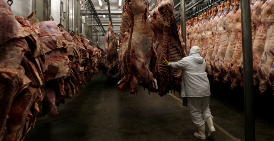 Marfrig tem melhor 1º trimestre da história com lucro de R$ 279 milhões