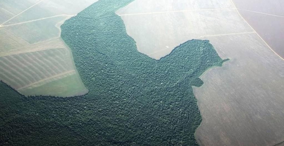 Varejistas europeias ameaçam deixar de comprar commodities do Brasil