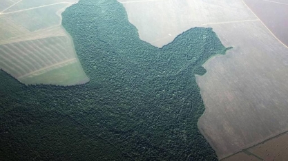 Varejistas europeias ameaçam deixar de comprar commodities do Brasil