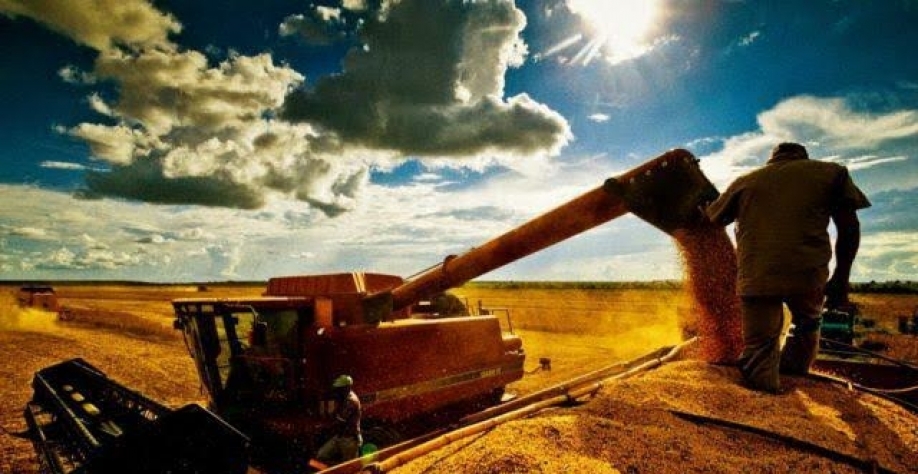 Confiança do agronegócio cai 4 pontos no 1º tri, para 117,4 pontos