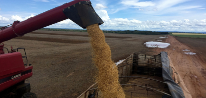 Safras vê vendas antecipadas de soja mais lentas para novo ciclo