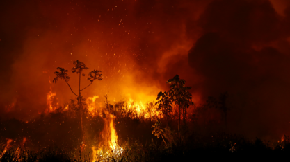 Cientistas alertam para piora de incêndios na Amazônia e Pantanal este ano
