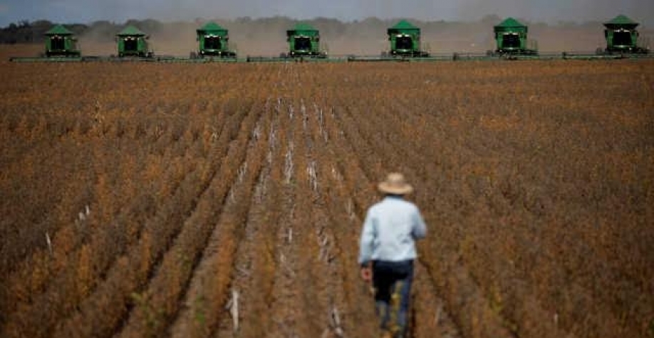 77% dos CEOs do agro confiam no desempenho do setor nos próximos 3 anos