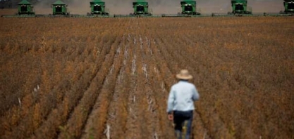 77% dos CEOs do agro confiam no desempenho do setor nos próximos 3 anos