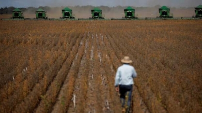 77% dos CEOs do agro confiam no desempenho do setor nos próximos 3 anos