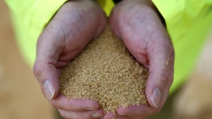 Açúcar cai 4% na ICE com redução de posições compradas por especuladores