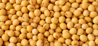 Cepea vê 'maior interesse' de vendedores de soja após máximas em Chicago